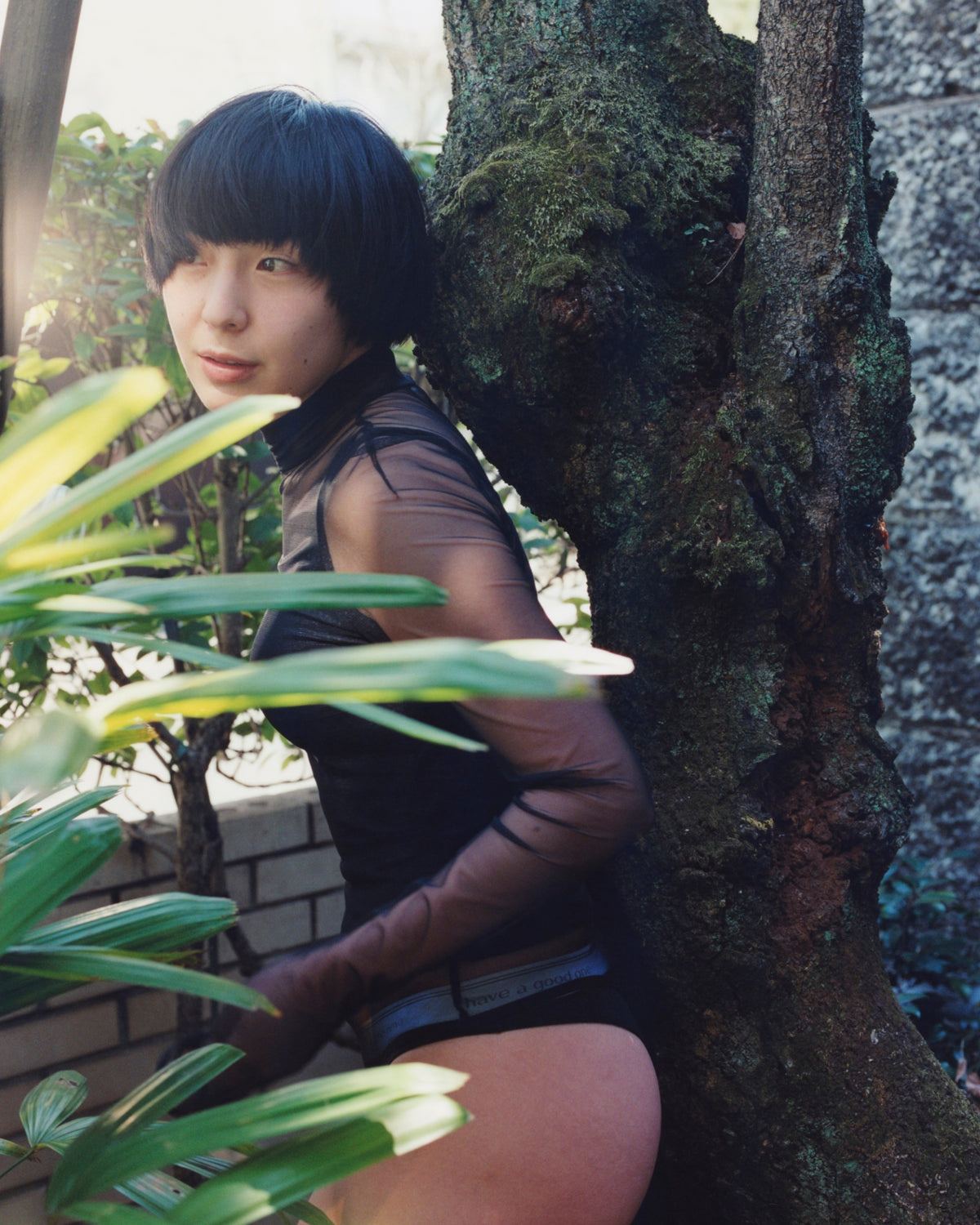 Standard Camisole (カップなし)